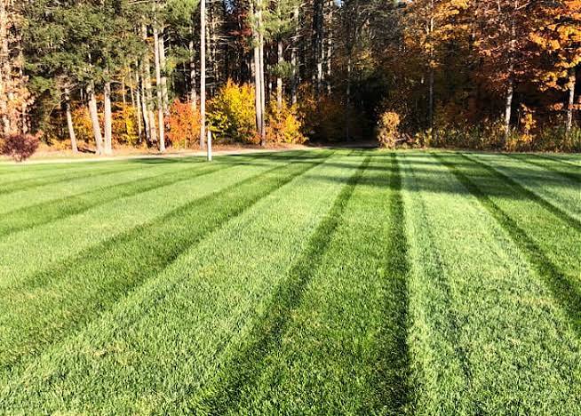 Wayne’s Landscaping lawn mowing service in Warrenton VA