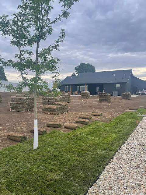 Fresh sod rolls ready to install on a lawn